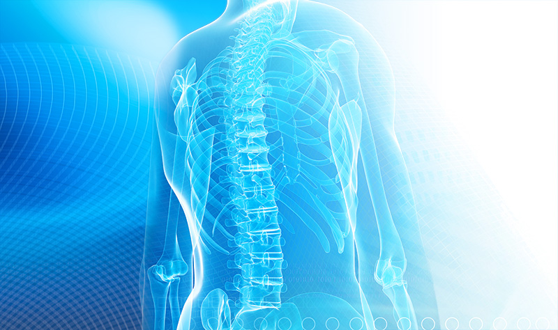 spinal x-ray illustration